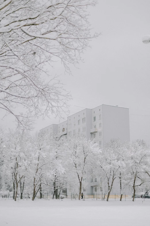 a snow - covered park on a bright winter day