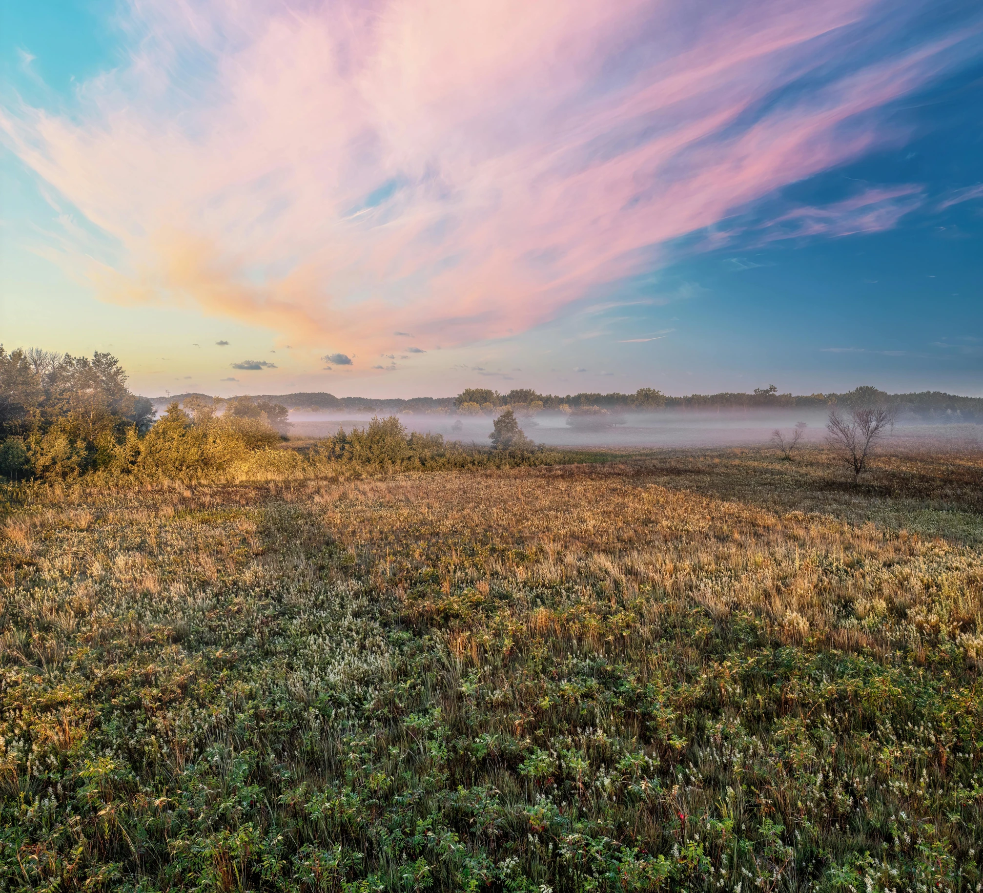 fog on the horizon as a person walks down a path