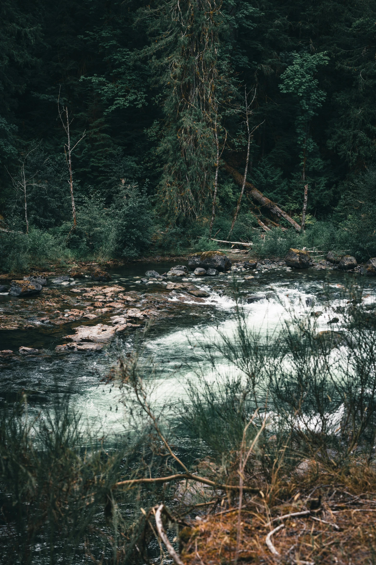 a stream of water with some trees in the background