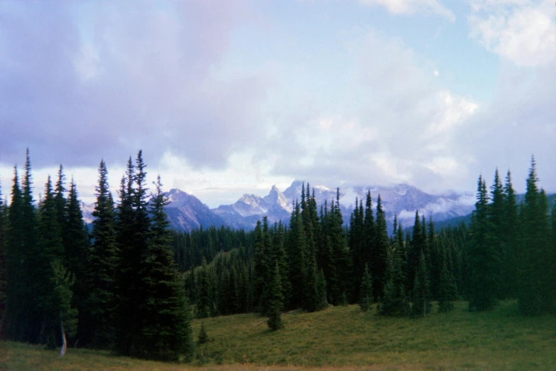 a view of a grassy area that features mountains