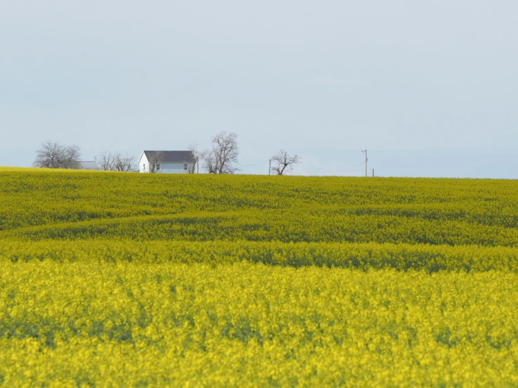 a small farm house is nestled among the rolling green fields