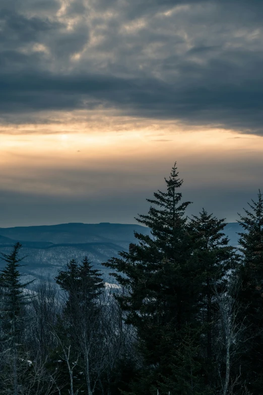 the trees are all standing in front of a mountain