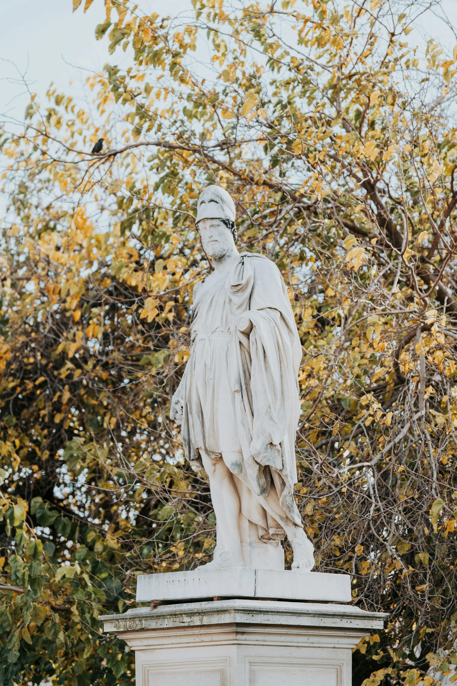 the statue is standing tall beside a tree