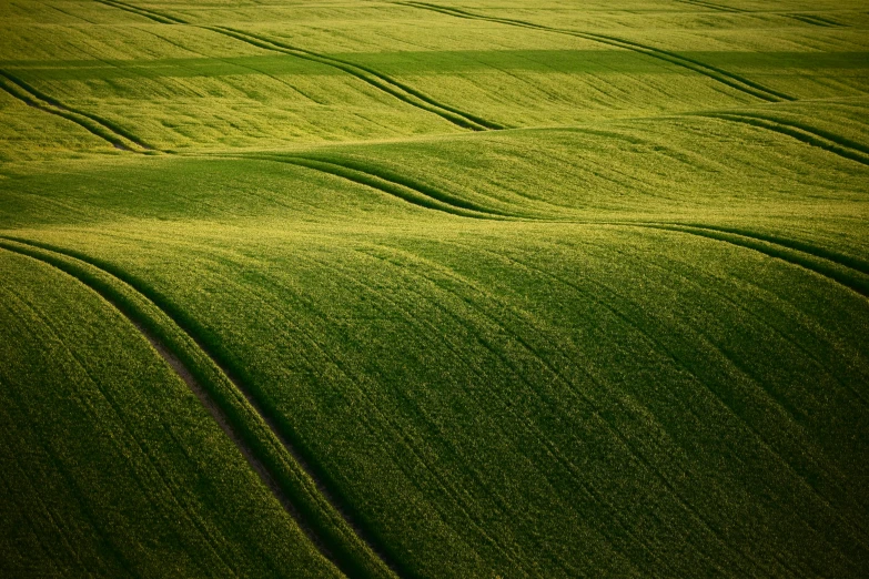 view of an green grassy field, with tracks in it