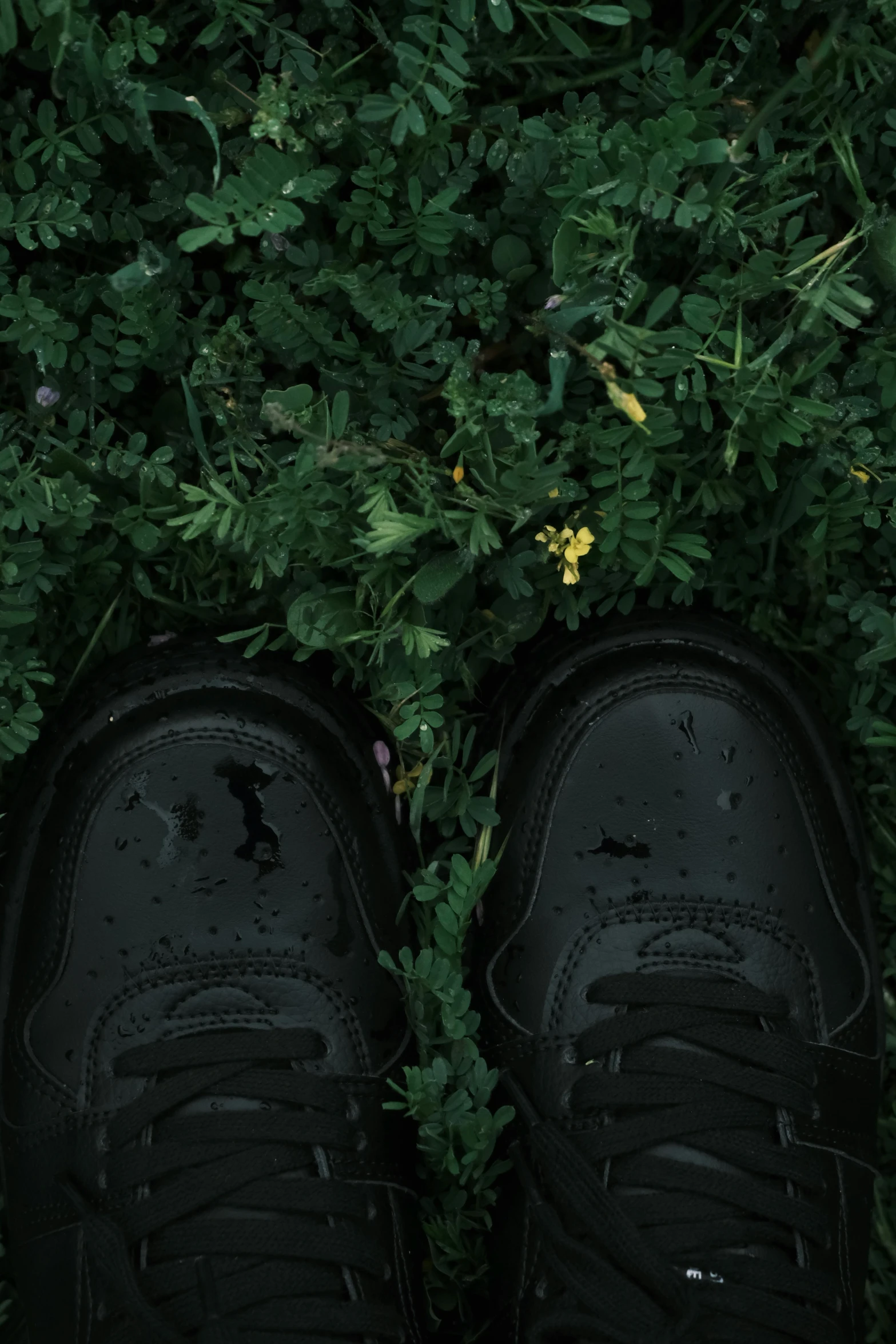 the shoes are standing on a grass covered field