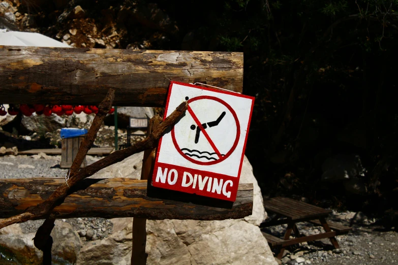 a no swimming sign near some trees with people in the background