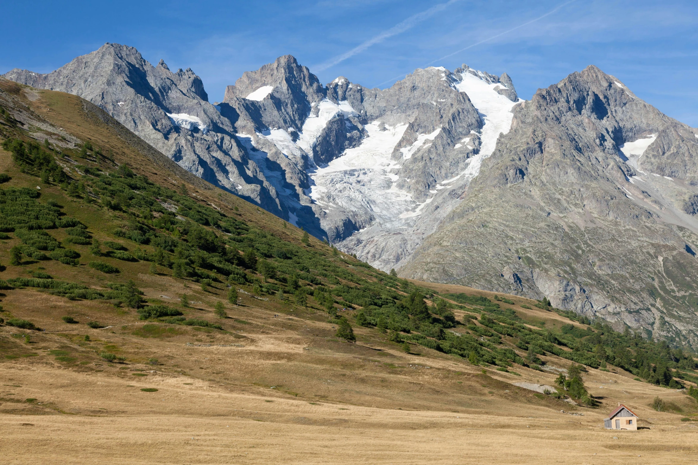 mountains with grass and trees in the foreground