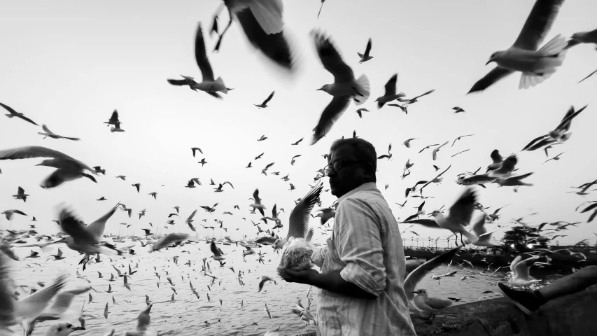 the person is feeding his flock of birds