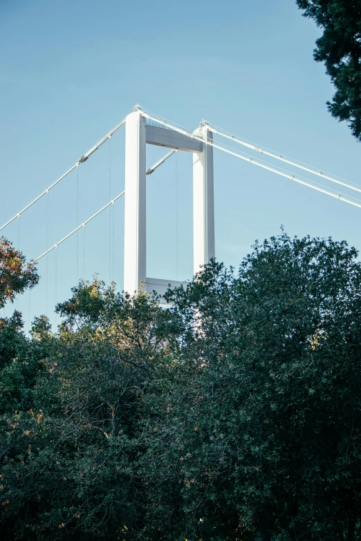 a bridge is seen from the distance while surrounded by trees