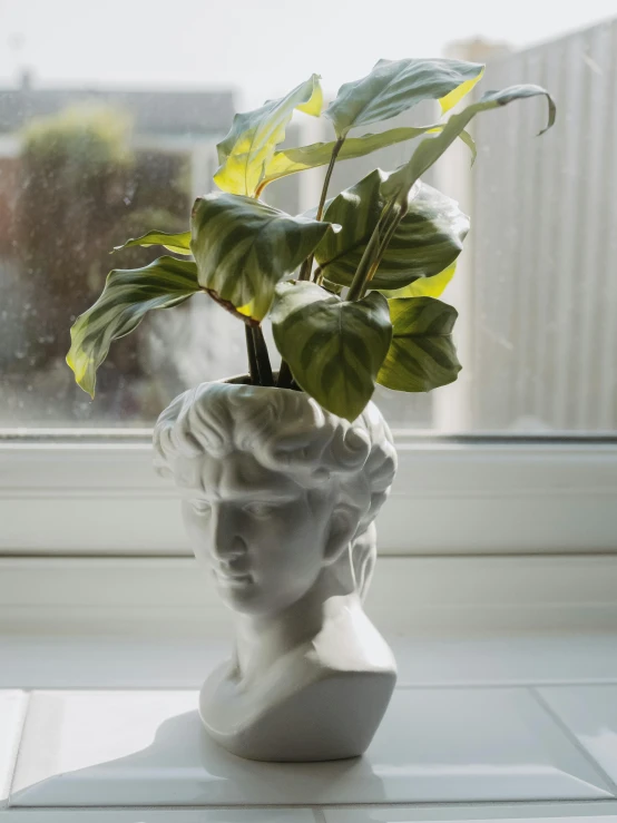 a white vase holding a plant next to a window