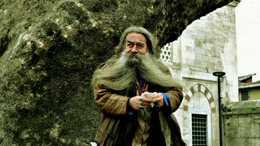 man with large beard standing underneath tree on pavement