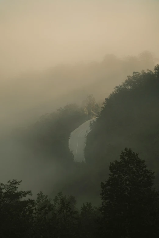 fog is rolling over the trees in this pograph