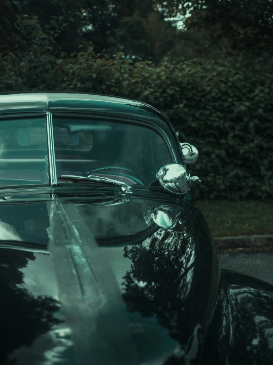 a black and white cat sitting in a car