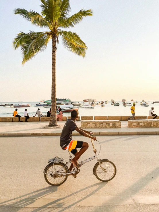 a man riding a bicycle down the street near a palm tree