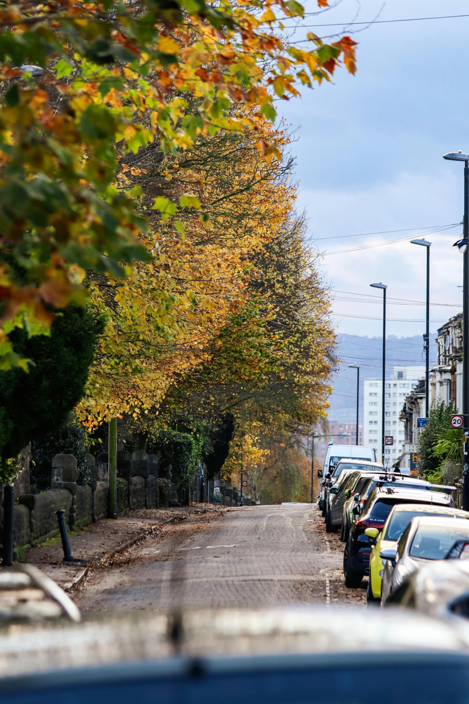 cars are parked on a street with the trees changing colors