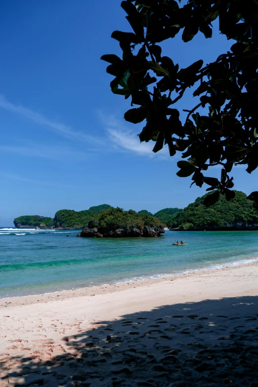 a clear beach is seen from under a tree