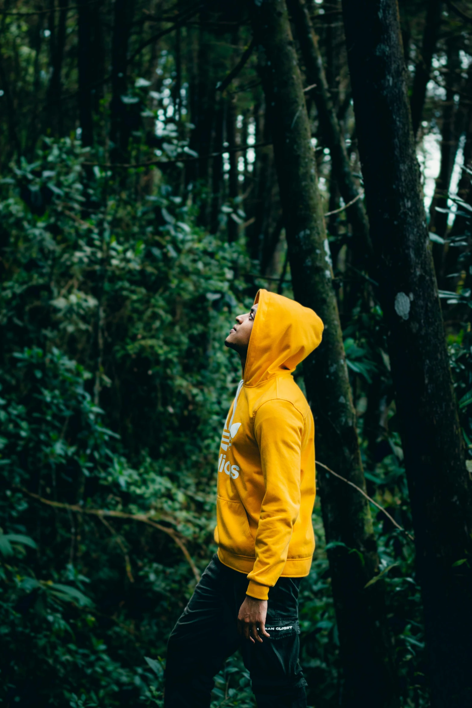 a man standing in the forest in his rain coat