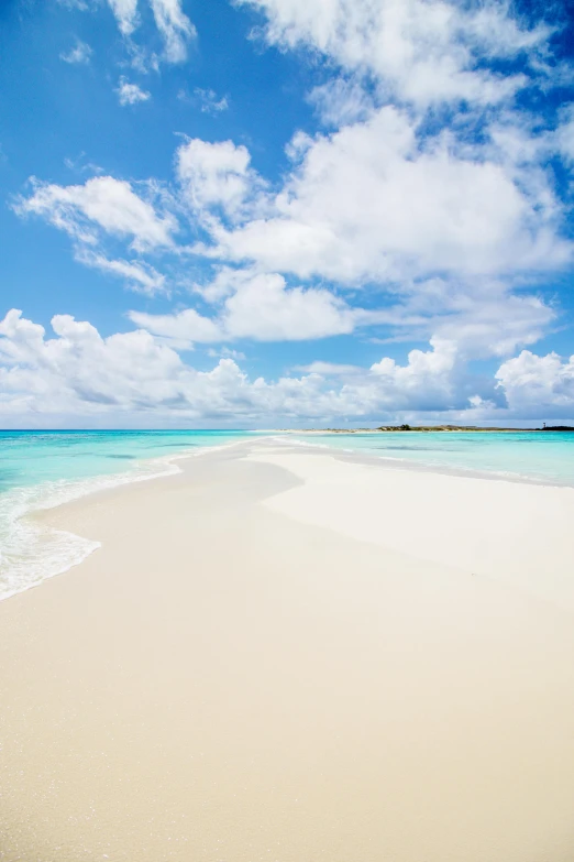 a clear water lagoon near the beach, with a lone bird on it