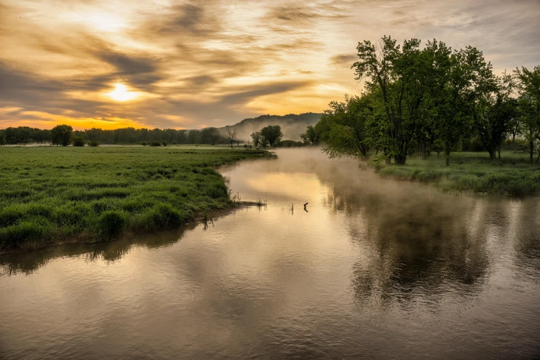 a small creek flowing down a lush green field