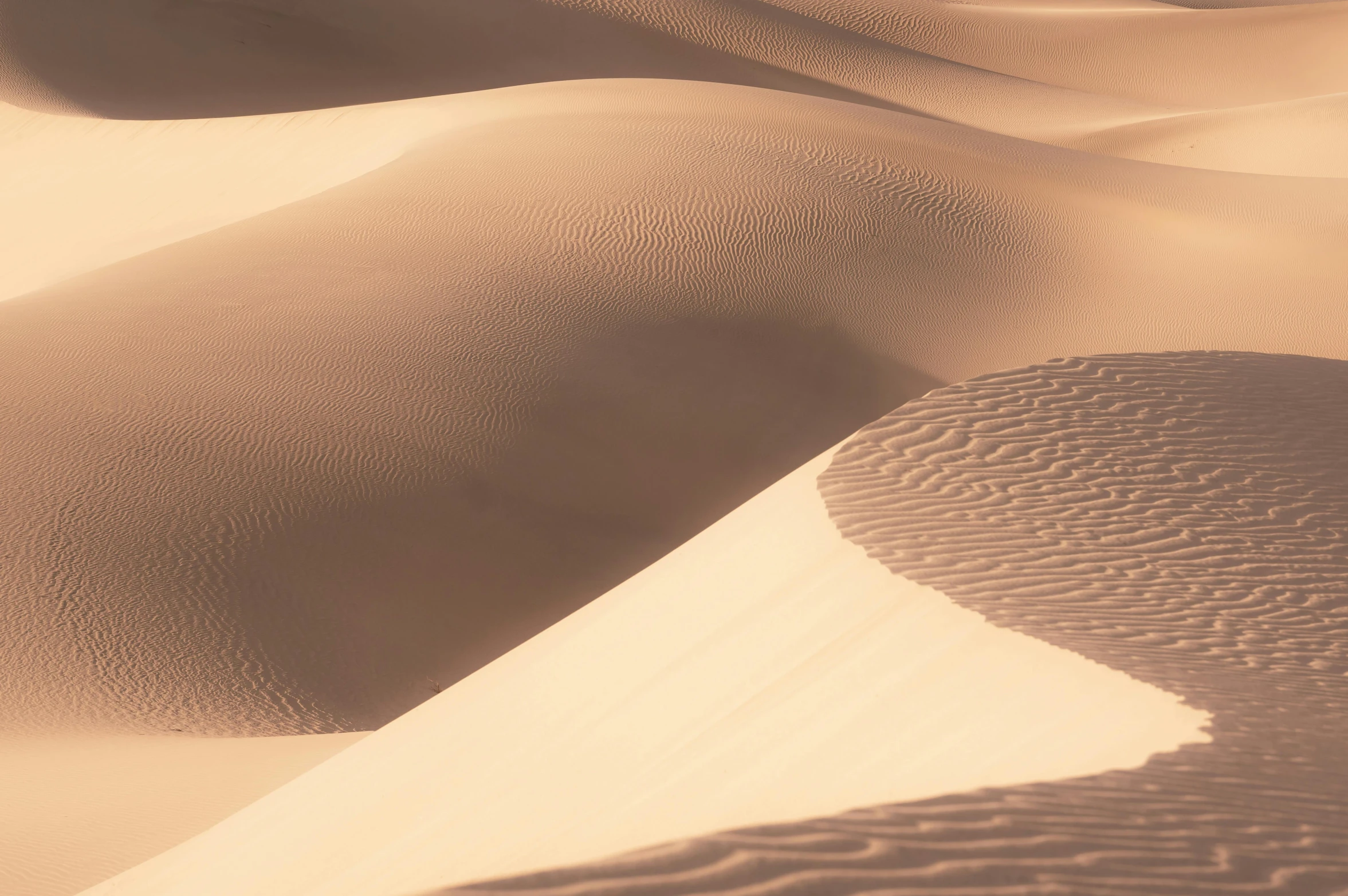 a bunch of sand dunes that are very large