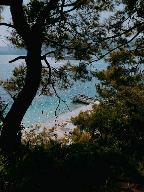 boats on the beach in the distance with trees around