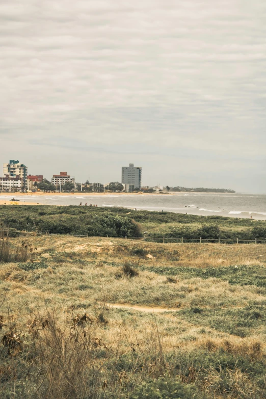 the view over the grass land of the beach and city