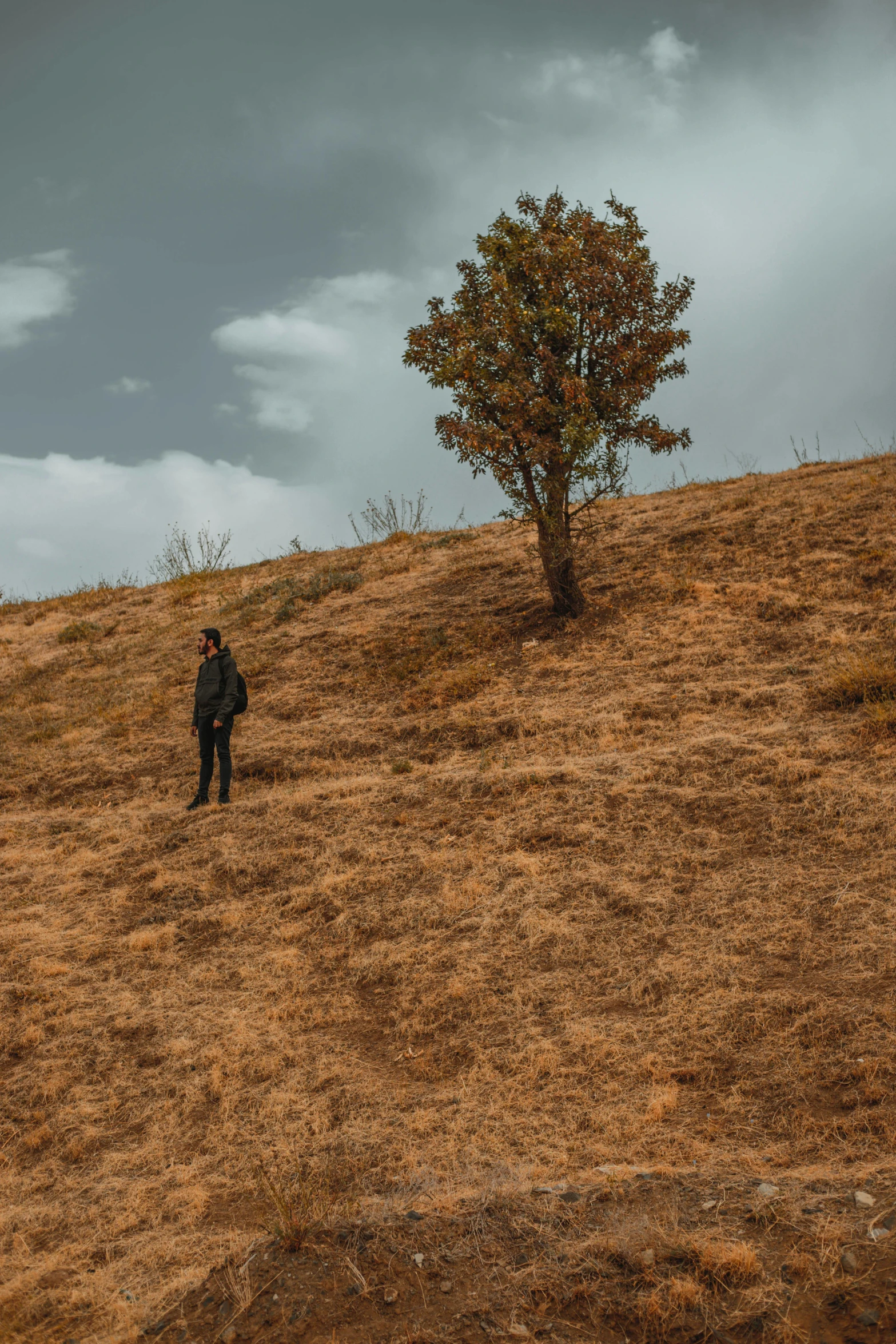 a man standing on the side of a hill near a tree