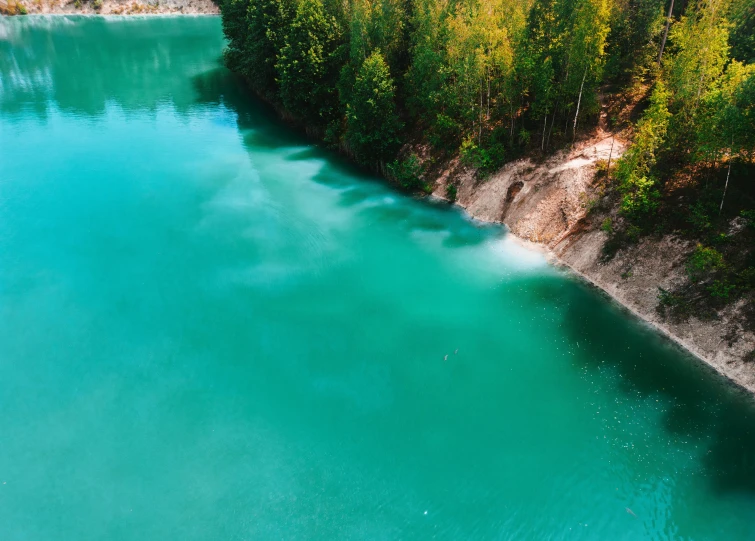 a large body of water surrounded by trees