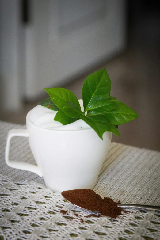 coffee beans sit in a mug with a leaf decoration