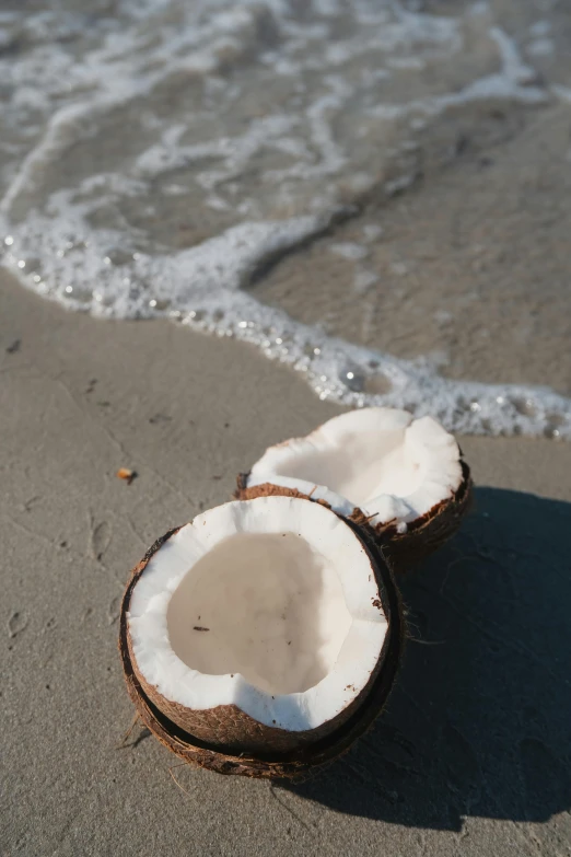 two coconuts on the sand near water