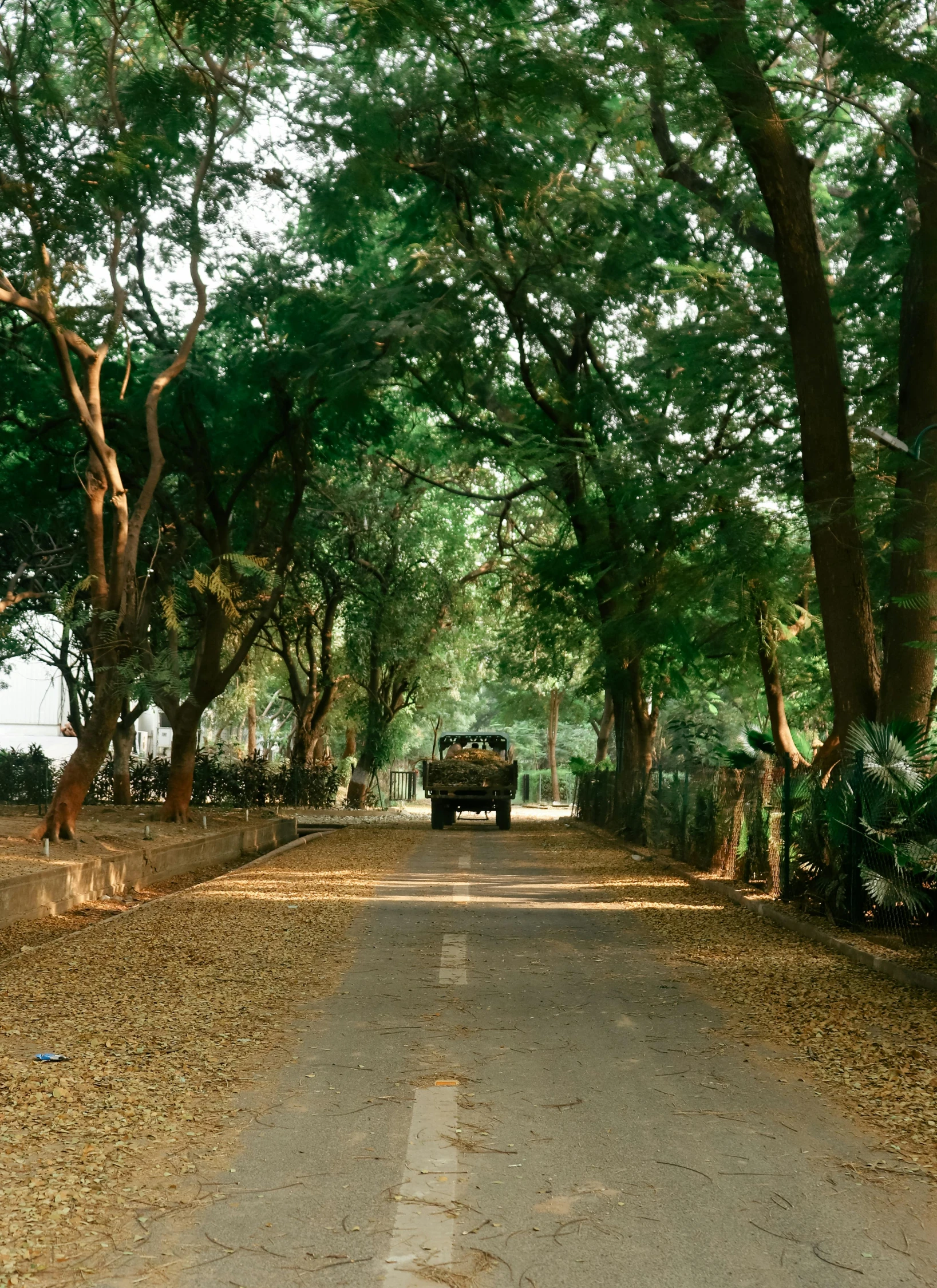 a truck on a road under trees on the side of a street