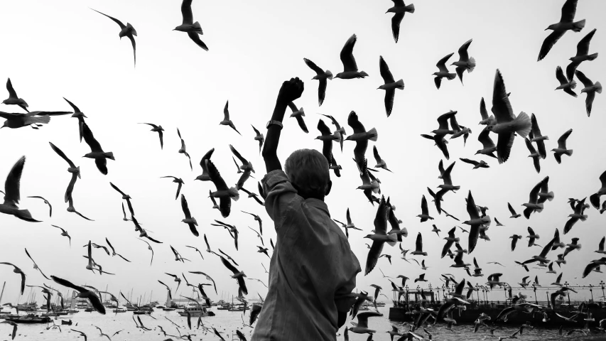 a person standing by a large flock of birds