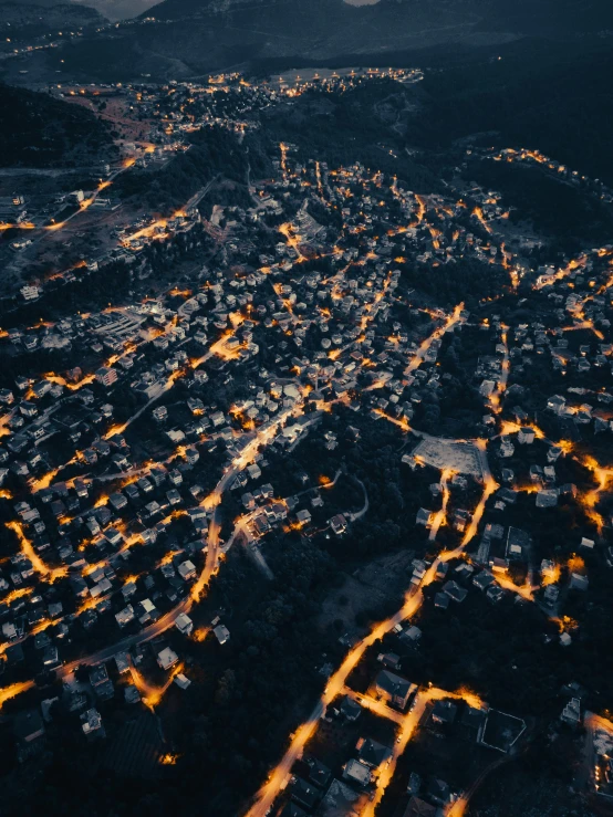 a night s of the city lights from a plane