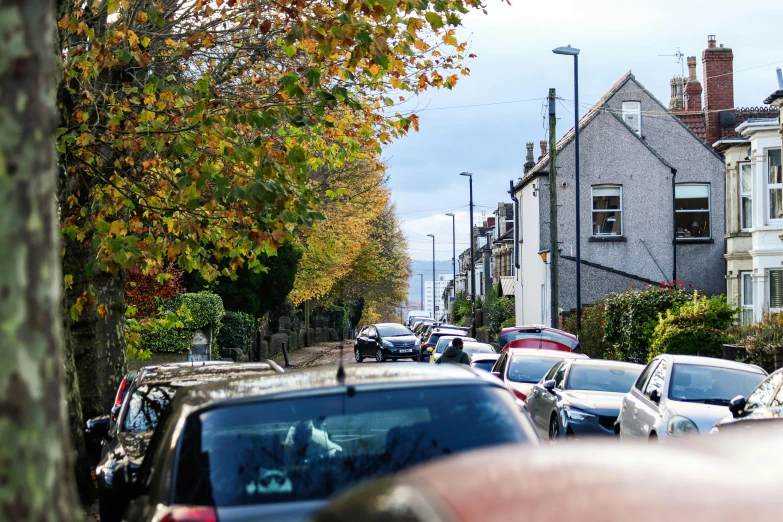 cars parked on the side of the street near houses