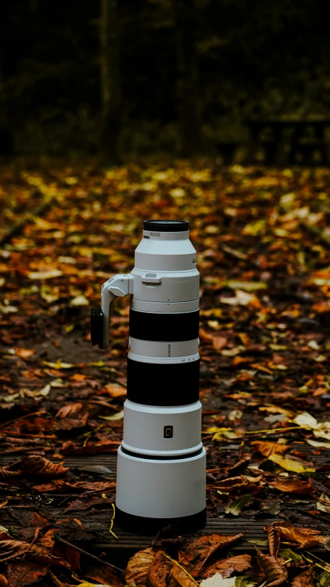 a coffee pot in the middle of a pile of leaves