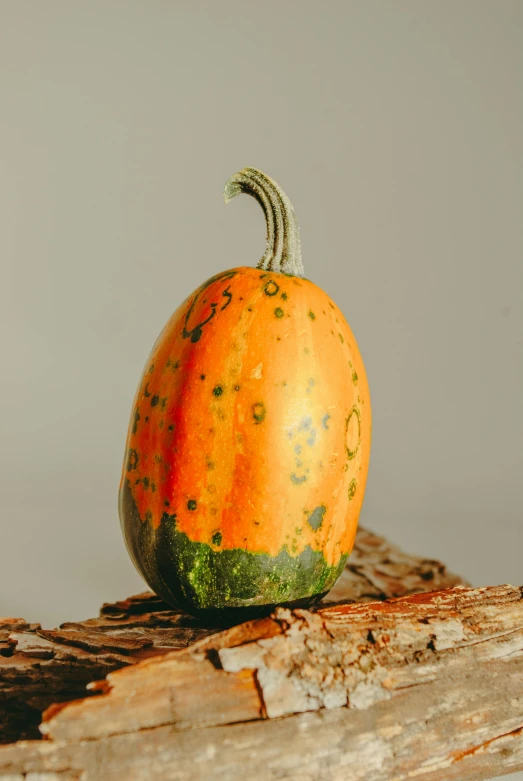 an orange pumpkin sitting on a wooden slice