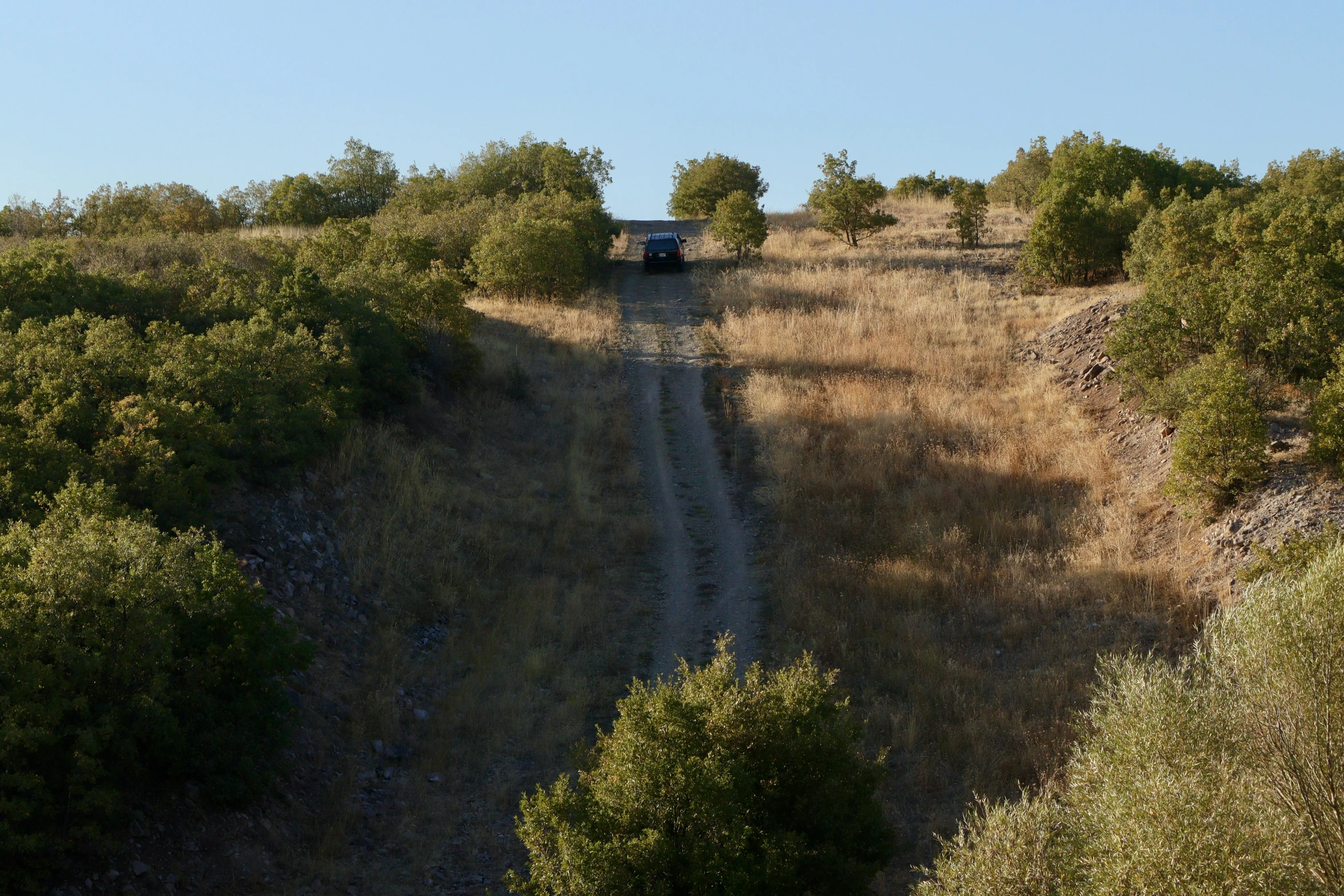 truck driving on a rural road in the wild