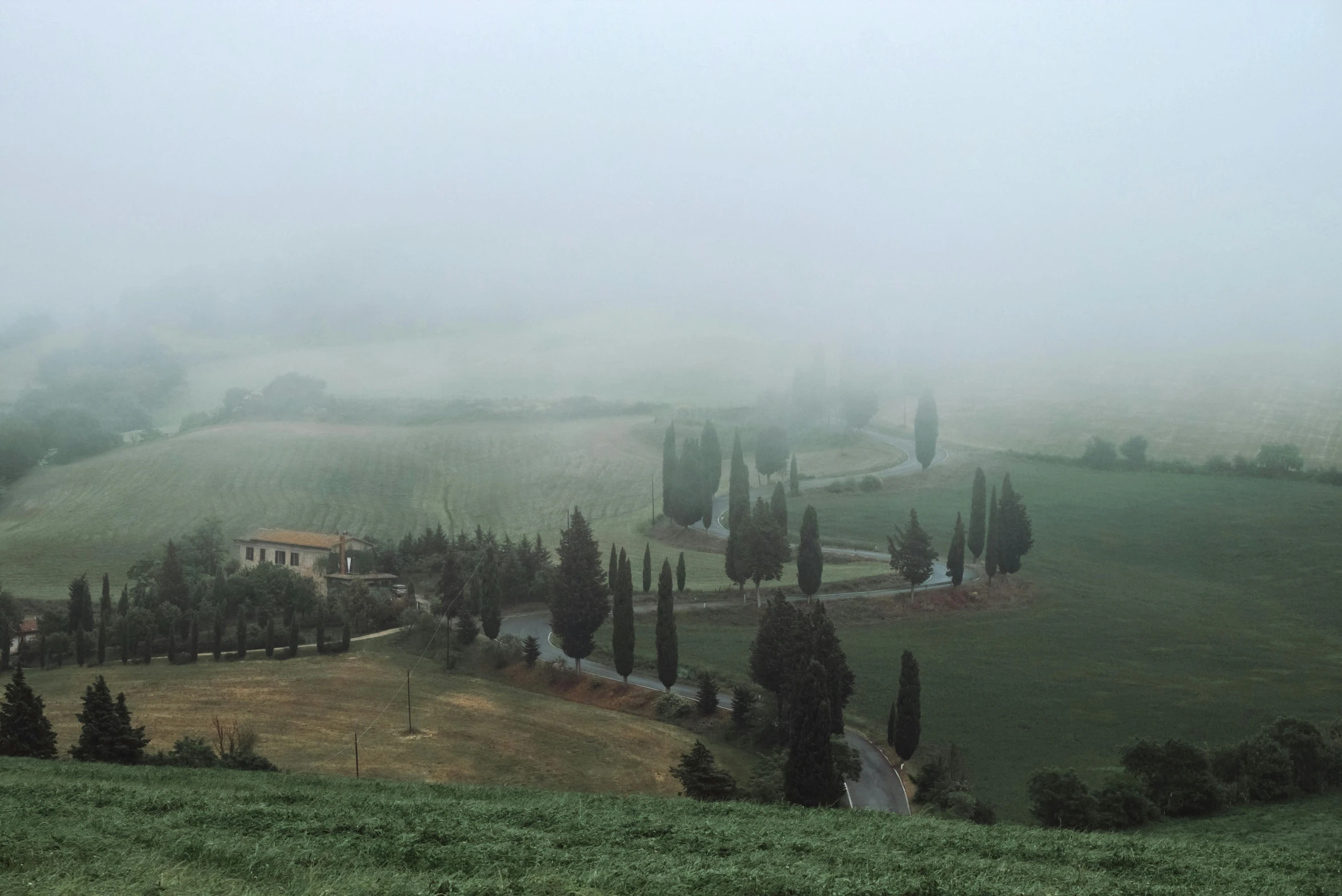 the fog is hanging over a green field