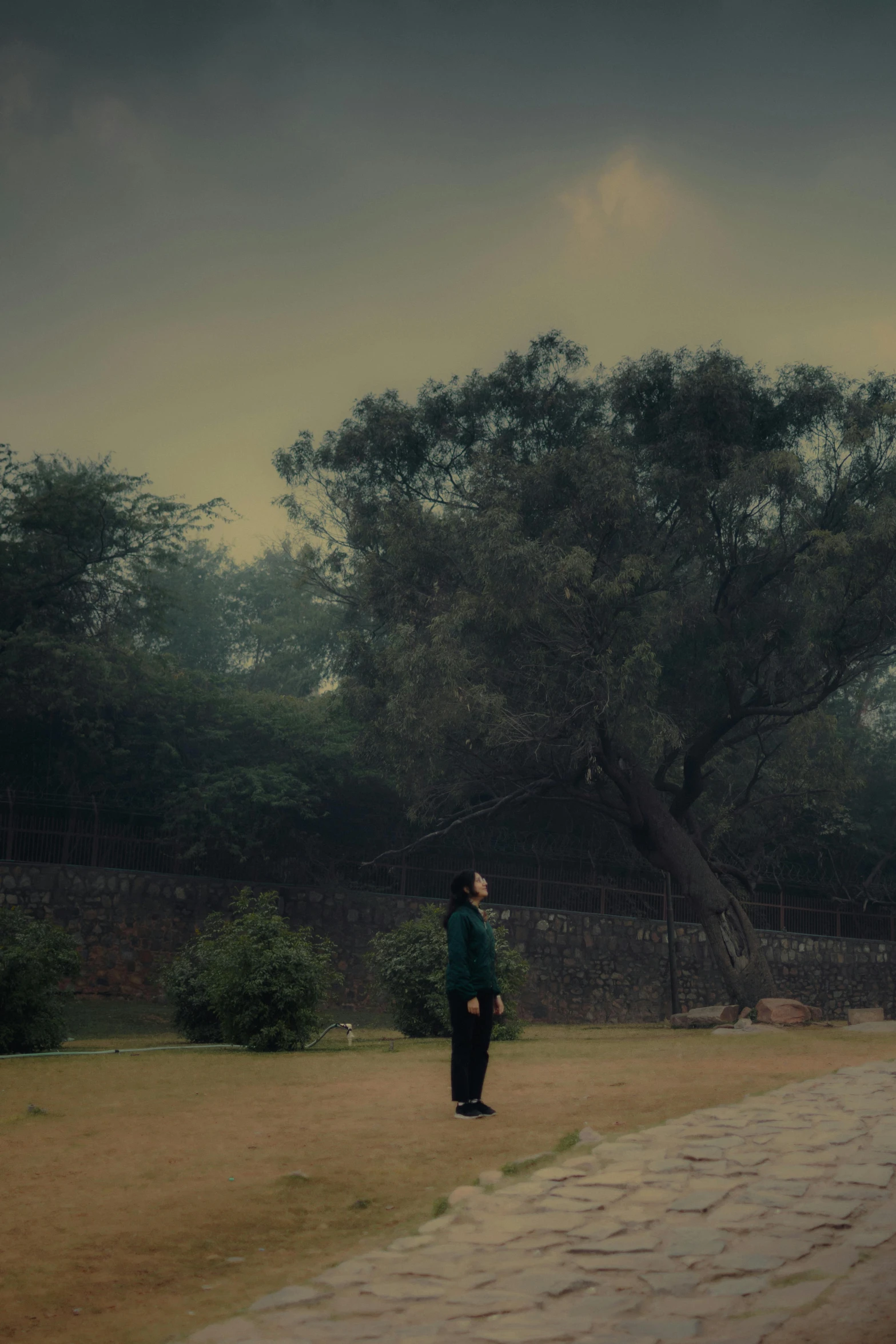 person standing on cobblestone path with bird flying overhead