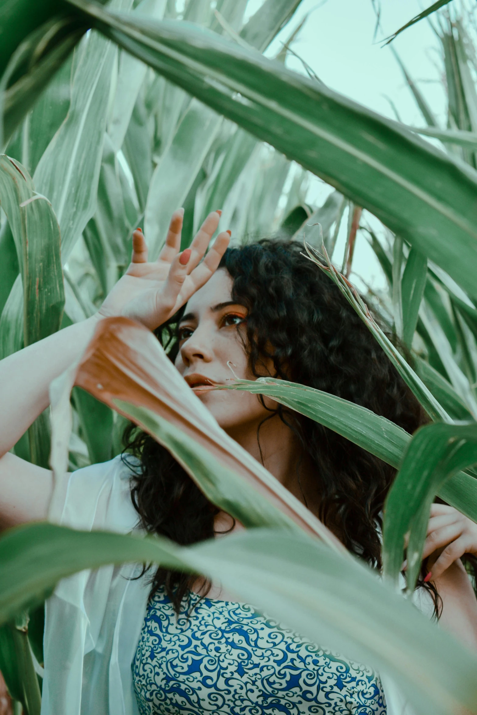 young woman standing in an uncut area amongst green leaves