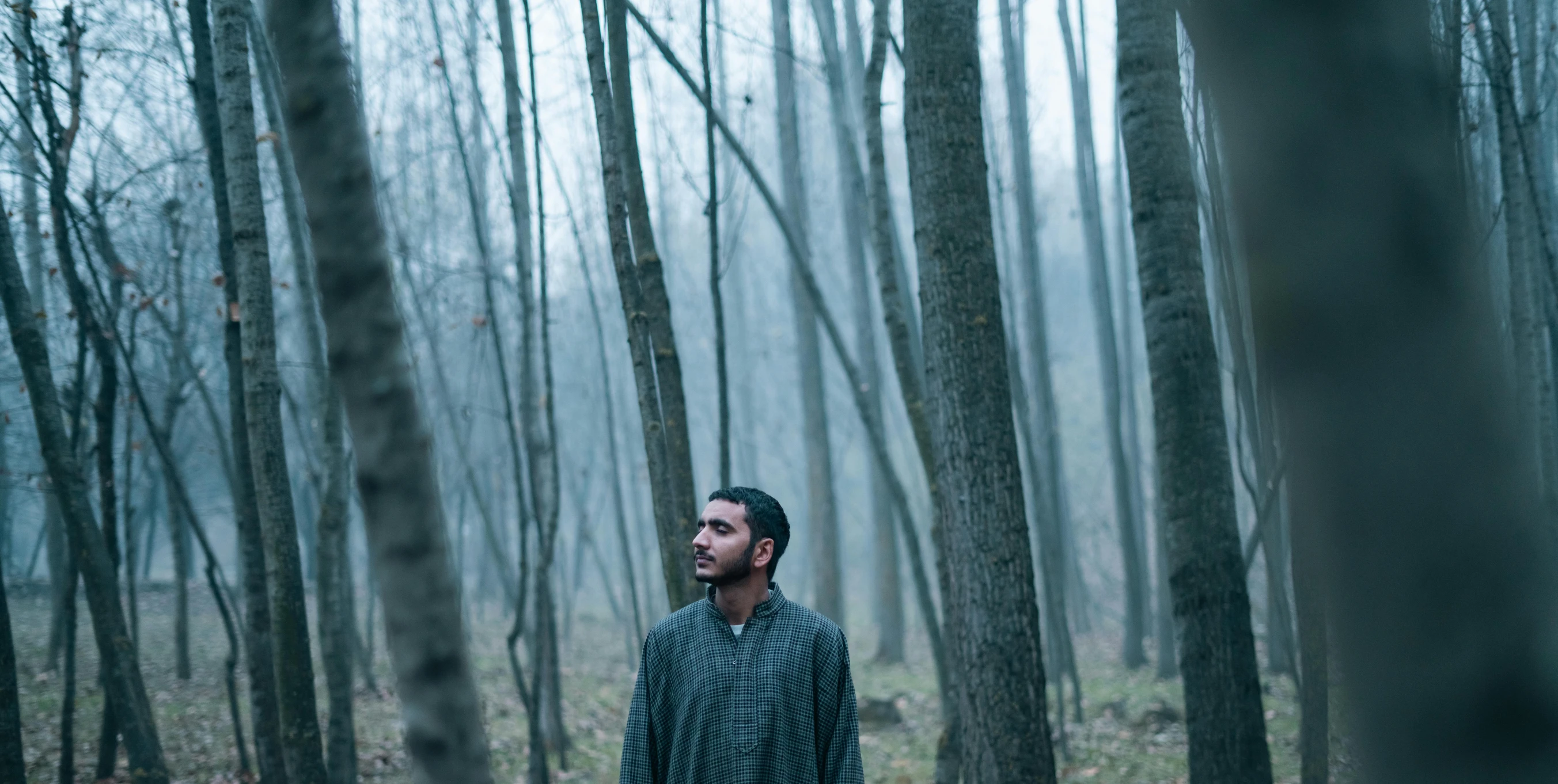 a man standing in the woods looking out to the trees