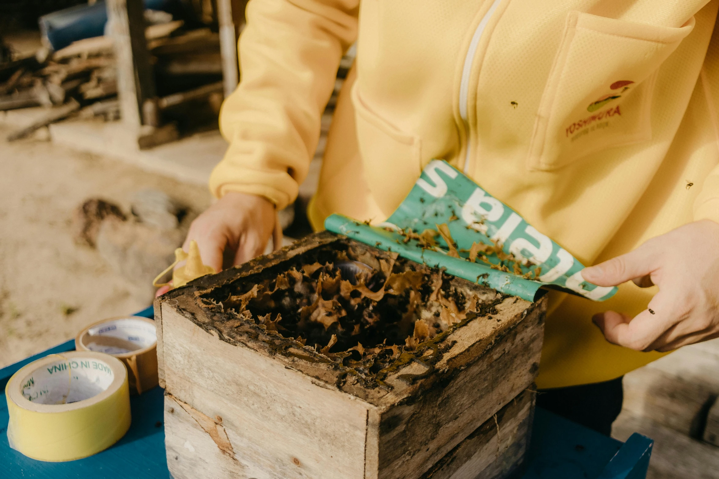 person wearing yellow jacket over blue table with many plants