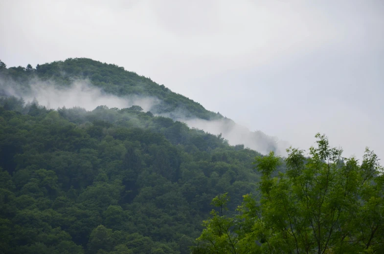 a large mountain with thick green vegetation on top