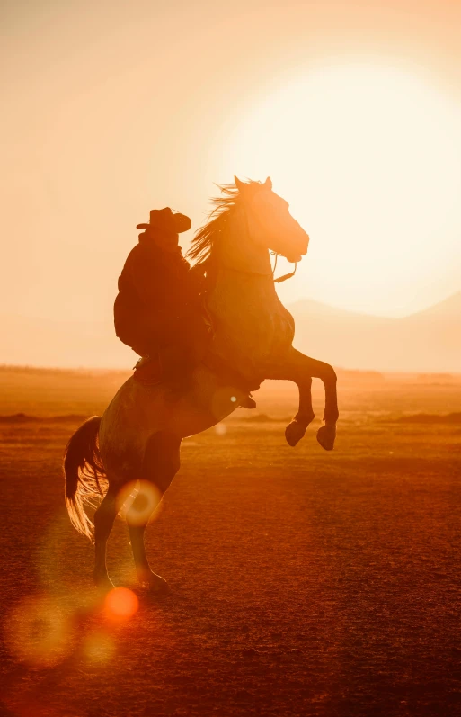 a cowboy jumping his horse with the sun behind him