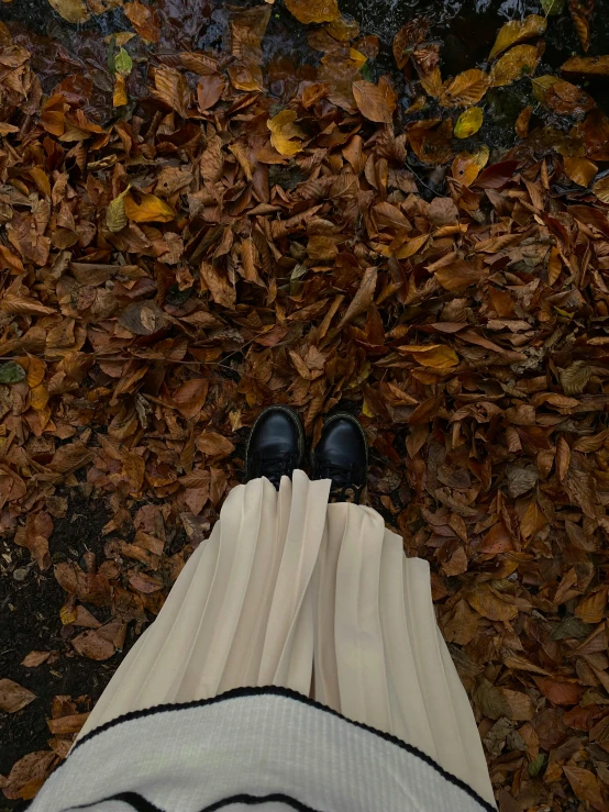 a person standing in front of leaves and wearing shoes