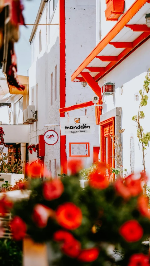 a large white building and lots of red flowers