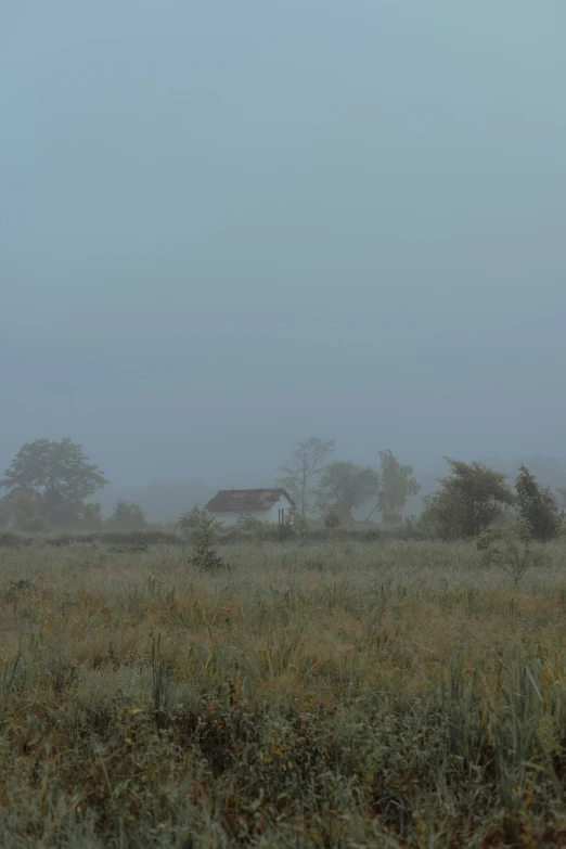 a field with fog in the air and a house in the distance