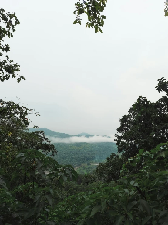 a cloudy sky and the woods surrounding it