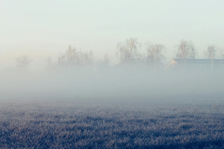 an area with fog covering the ground and trees