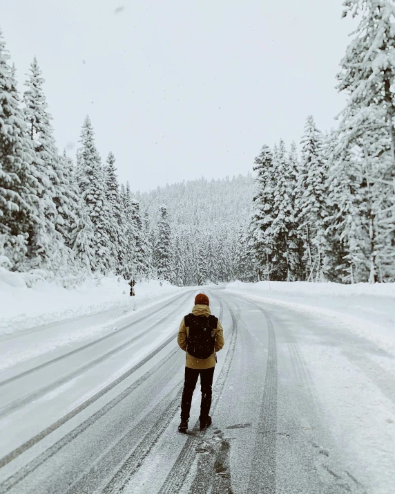 man standing on snowy road next to evergreens and snowy trees